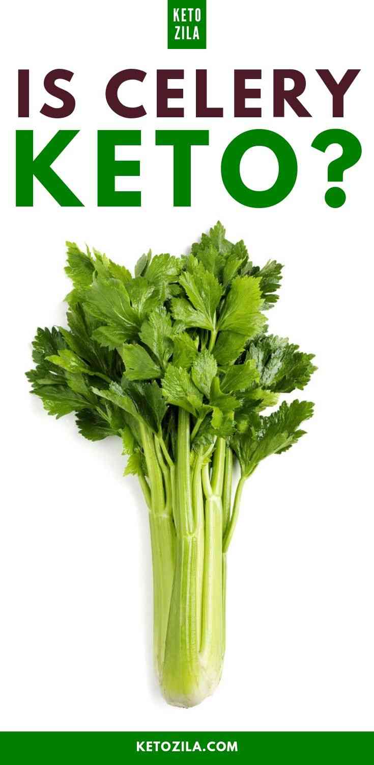 Is Celery Keto? Facts About Celery on Keto Diet Ketozila
