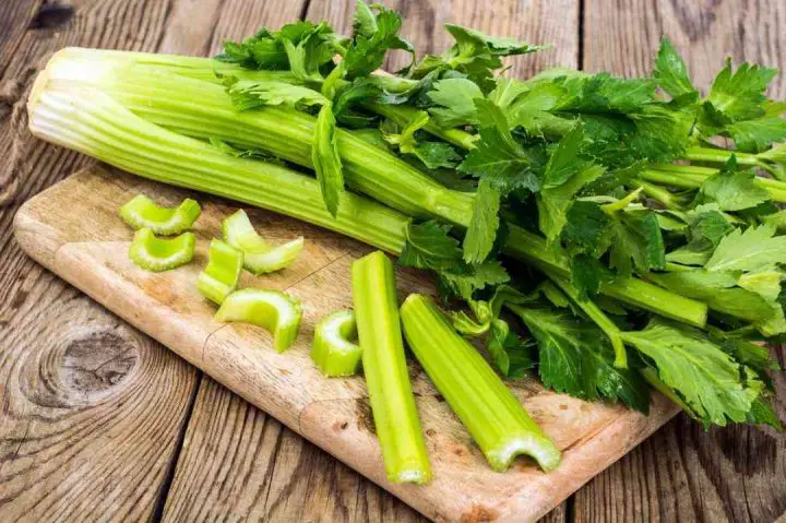 Is Celery Keto? Facts About Celery on Keto Diet