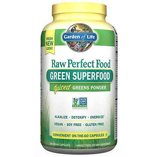 Garden of Life Raw Perfect Food Green Superfood