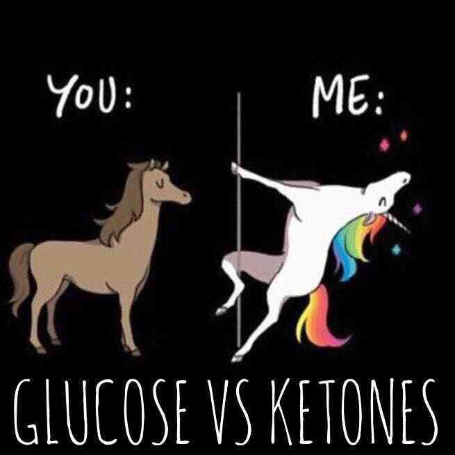 Glucose vs Ketones Meme