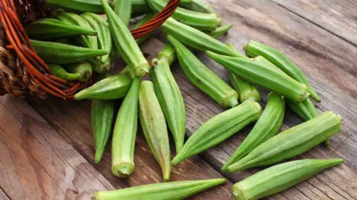 Is Okra Keto Featured