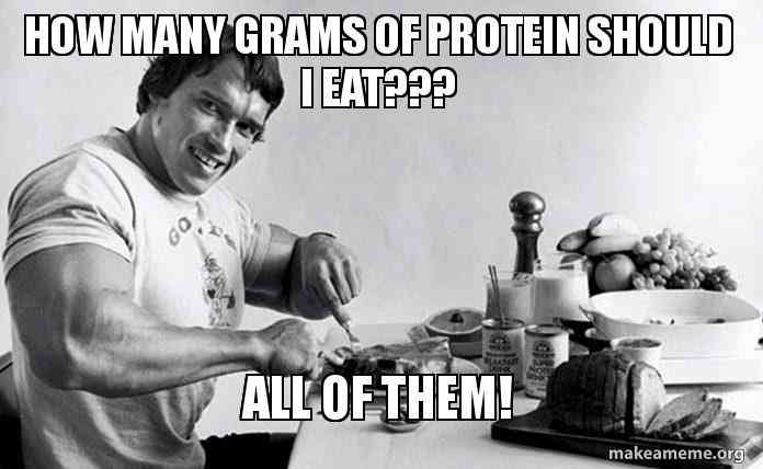 Protein Keto Meme